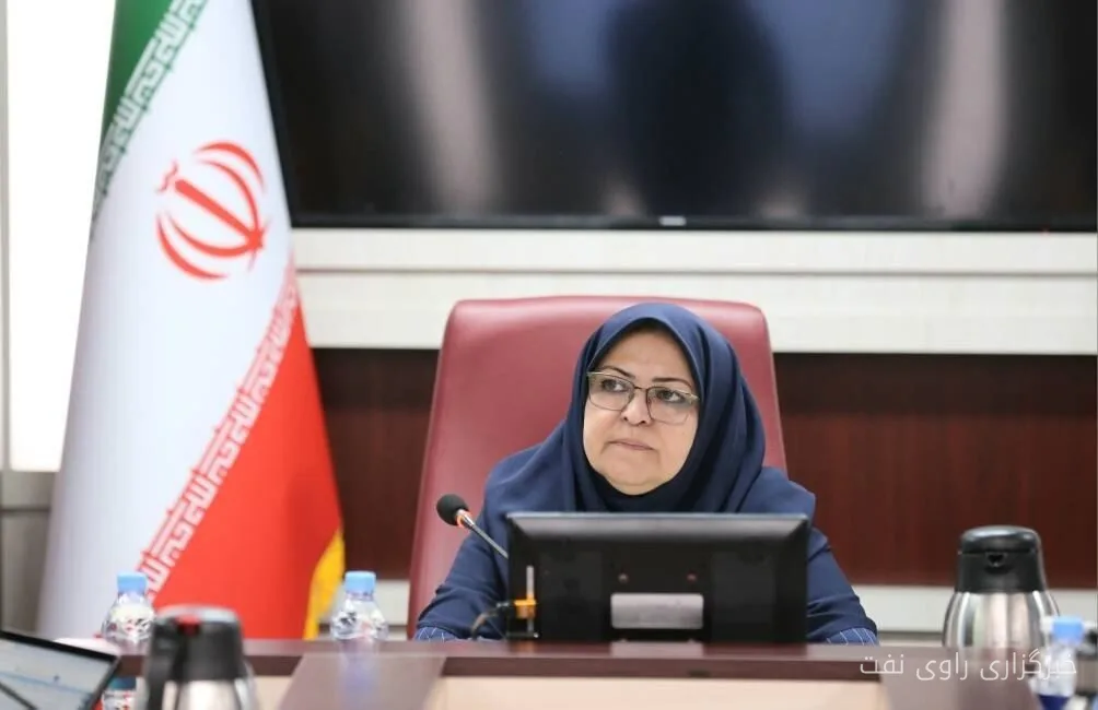 فرزانه انصاری تدوین برنامه جامع استاندارد برای حوزه انرژی را ضروری دانست