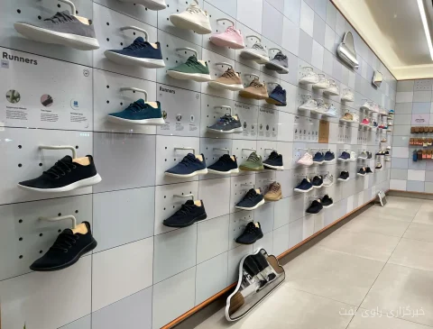 فعالیت غیرمعمول گزینه‌های فروش در گروه Shoe Station پیش از اعلام درآمدها