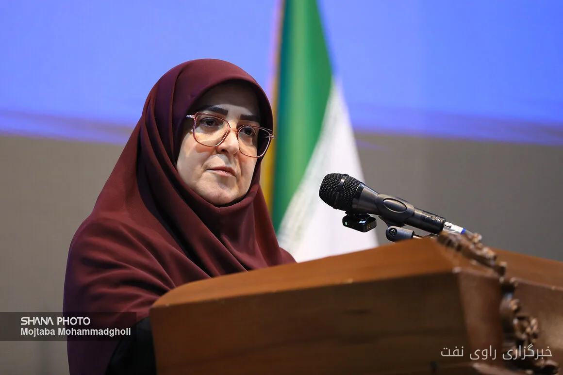 فاطمه مهاجرانی زمستان را با حداقل مشکل در بخش انرژی پشت‌سر می‌گذاریم
