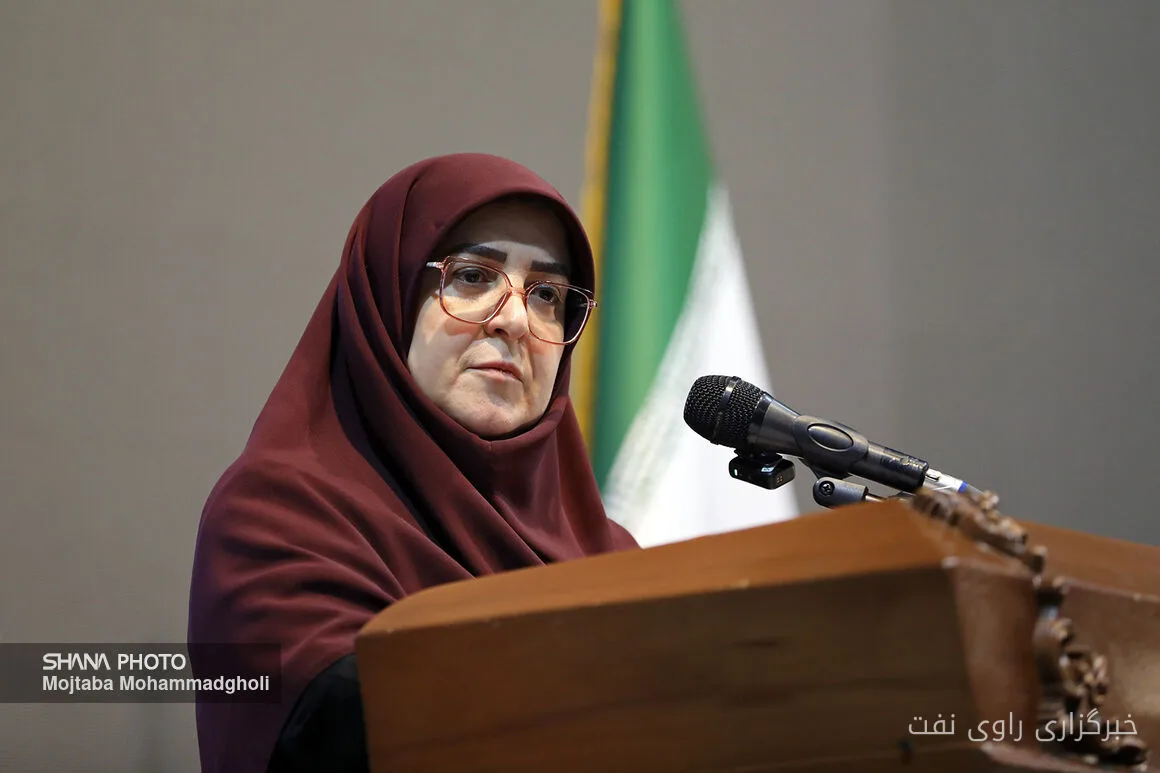 Fatemeh Mohajerani gab den täglichen Benzinverbrauch des Landes mit 140 Millionen Litern an