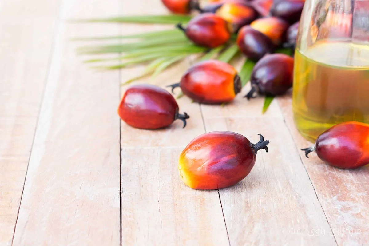 آیا روغن نخل را باید از سبد خرید حذف کنید؟
