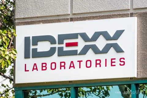 آیا سهام IDEXX Laboratories از شاخص داو جونز عقب‌مانده است؟