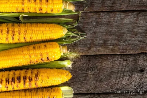 گندم‌های آمریکایی در آستانهٔ گزارش USDA به صف می‌آیند