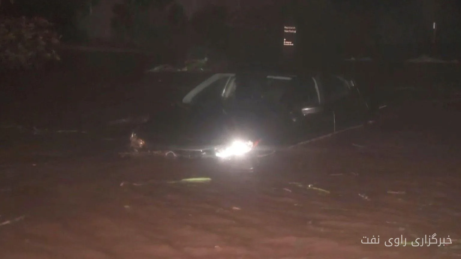 Loul Storm: Fallen Trees and Devastating Floods in Hawaii
