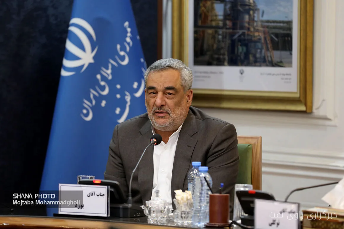 حمید بورد ظرفیت وزارت نفت در موضوع تراستیها را تشریح کرد