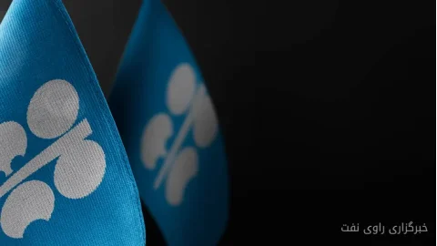 OPEC Maintained Oil Production at 31.01 Million Barrels Per Day in November