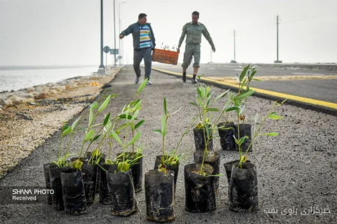 Public Participation Emphasized in Environmental Assessment of Oil Projects