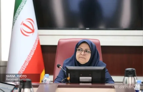 فرزانه انصاری بر ارتقای بهره‌وری انرژی تولیدات صنعتی تأکید کرد