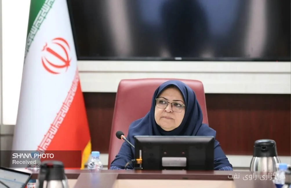 فرزانه انصاری بر ارتقای بهرهوری انرژی تولیدات صنعتی تأکید کرد
