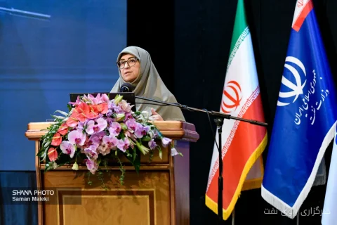 Shina Ansari considers attacks on oil facilities a threat to environmental health