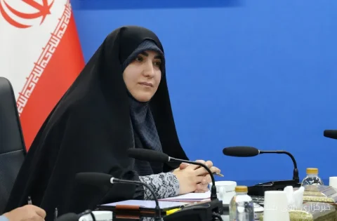 زینب قیصری رئیس کمیته پتروشیمی مجلس شد