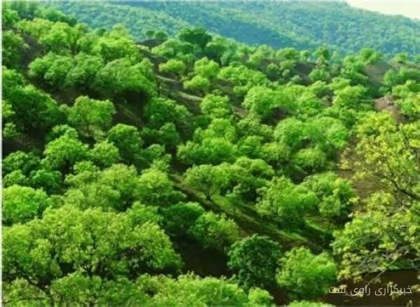ضرورت تدوین برنامه ۱۰ ساله برای حوضه آبخیز زاگرس توسط عضو شورای هماهنگی