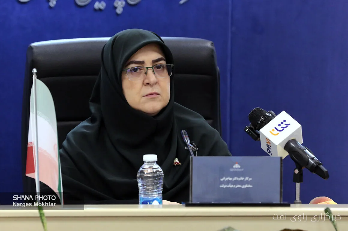 Fatemeh Mohajerani Improves Gasoline Distribution Management by Identifying Fuel Cards