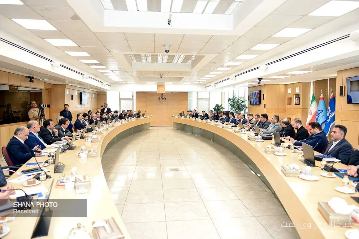 Meeting to Review Financing of Petrochemical Projects with Omid Shakouri