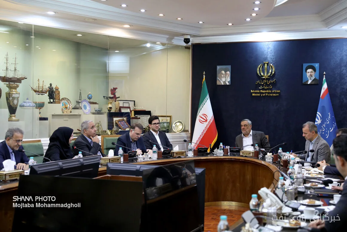 حمید بورد بر لزوم همکاری ملی برای عبور از چالشها تأکید کرد