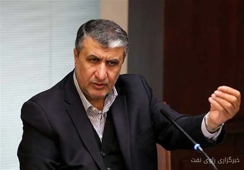 محمد اسلامی بر توانمندی‌های هسته‌ای ایران تأکید کرد